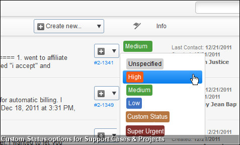 Custom Status options for Support Cases & Projects