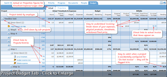 Project Budget Tab - Click to Enlarge