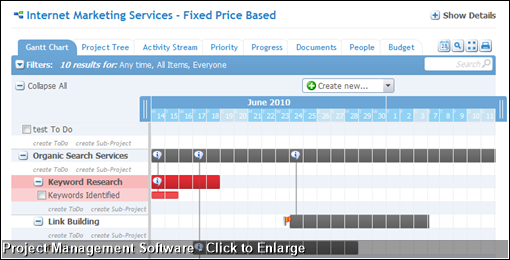 Project Management Software - Click to Enlarge